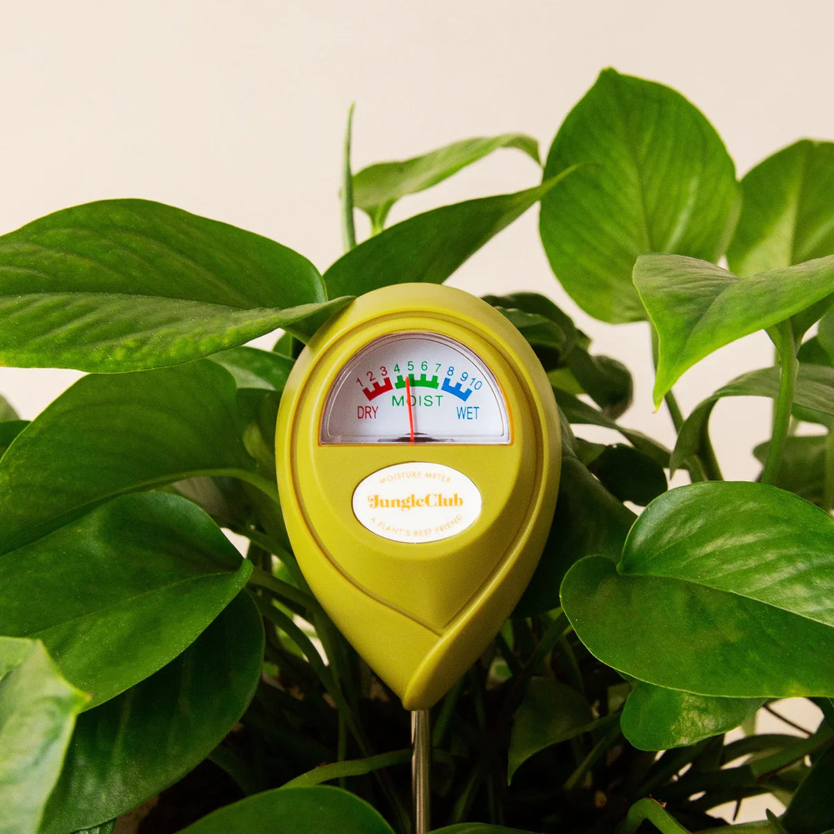 best plant moisture meters Moisture Meter
